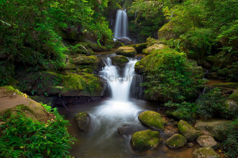 Similar – Foto Bild water falls Natur Pflanze