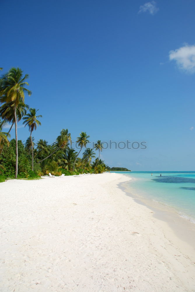 Image, Stock Photo Get blue!!! Calm