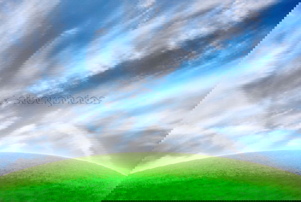 Similar – Image, Stock Photo London Calling: Nature In Town