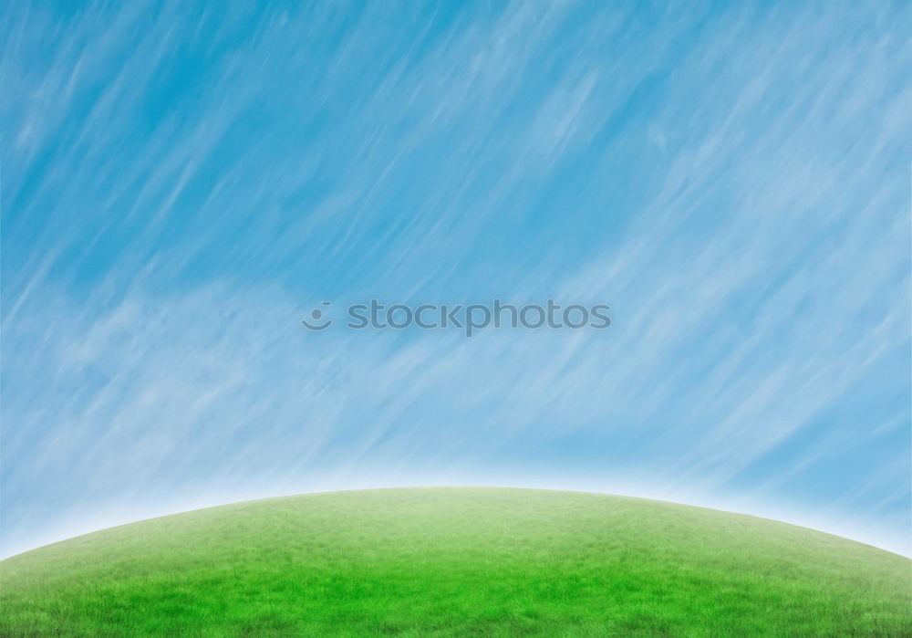 Similar – Image, Stock Photo flower wreath Sky Spring