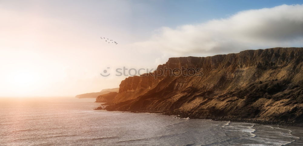 Similar – Image, Stock Photo Young woman with book on a dune at the northern sea in the sunset