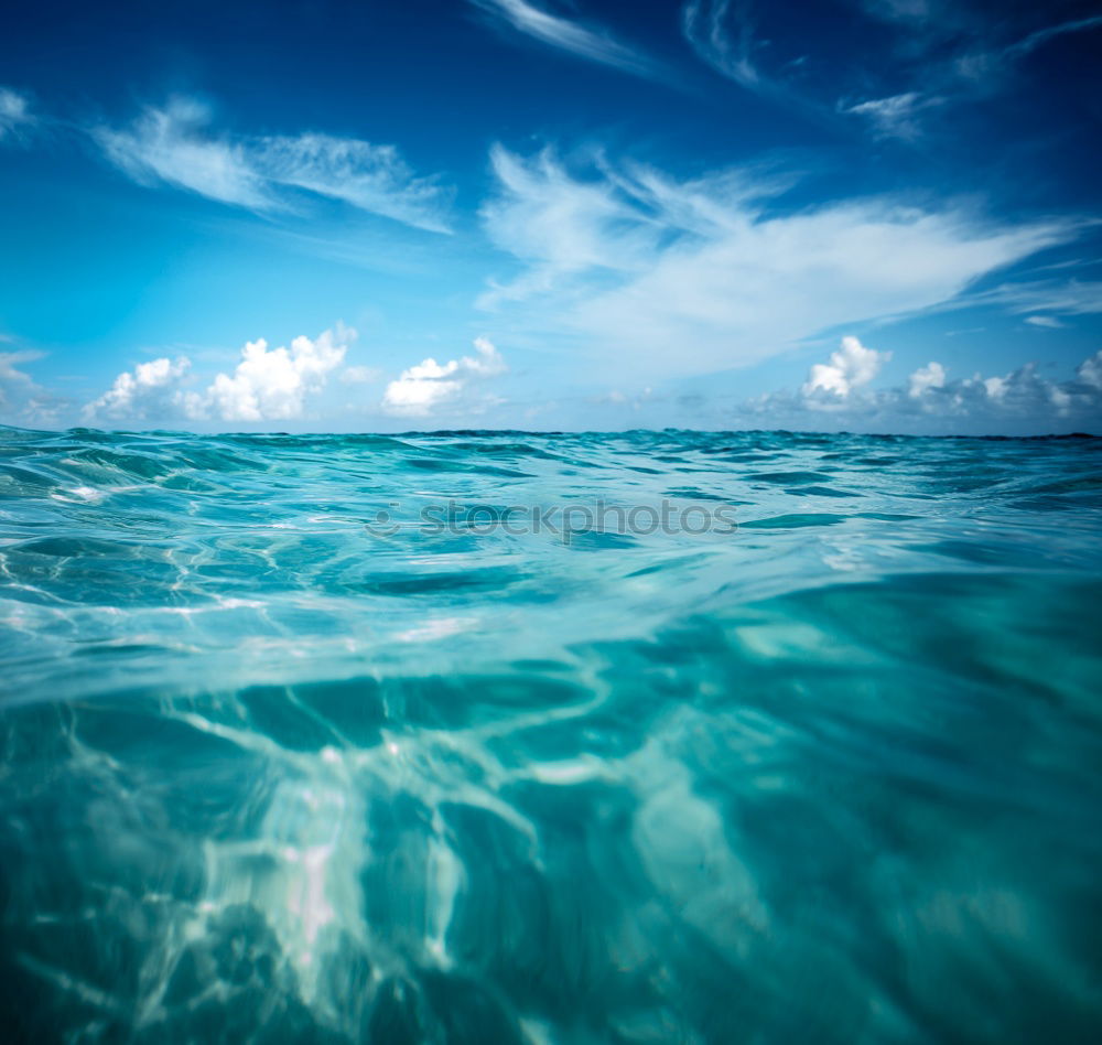 Similar – Image, Stock Photo Mallorca from its beautiful side 16