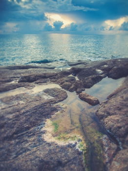 rocky coast Environment