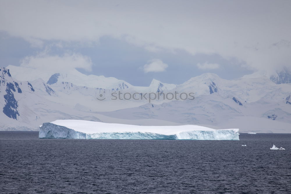 Similar – Snowfall and cruise liner among blue icebergs in Port Charcot