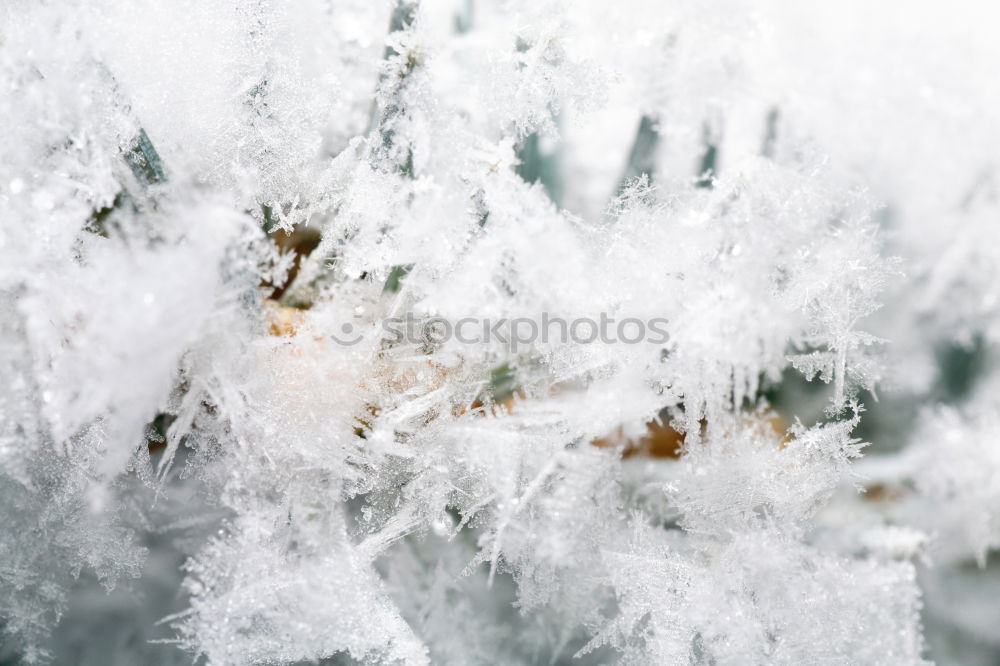 Similar – Little girl enjoying the snow on cold wintery day