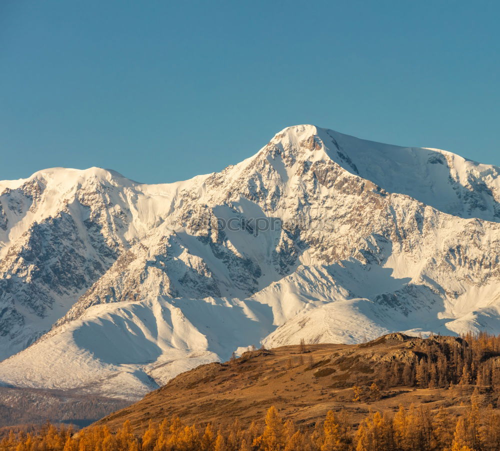 Similar – Foto Bild Innsbruck Umwelt Natur