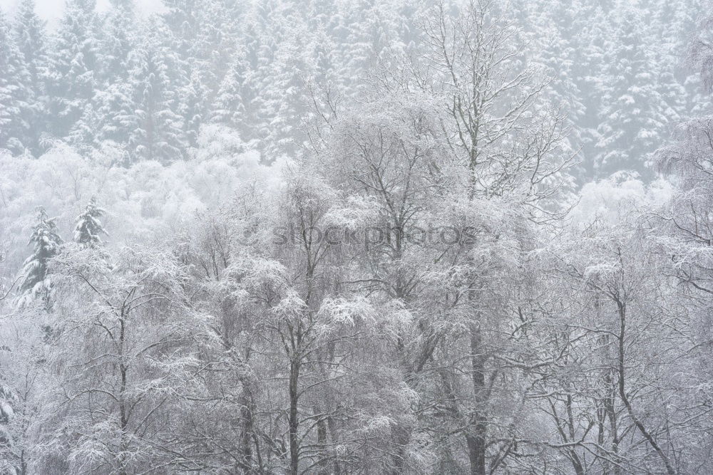 Similar – Frost as far as the eyes can see