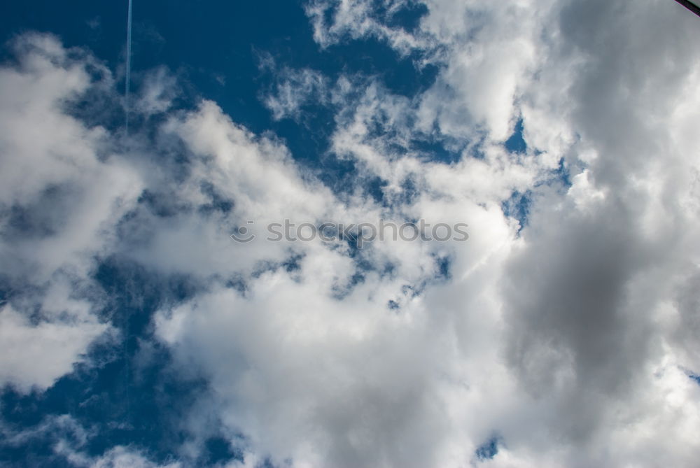 maypole May 1 May tree Sky