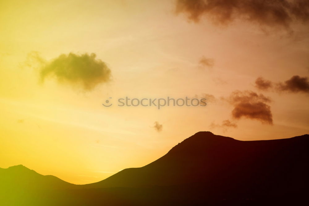 Similar – Image, Stock Photo Morning greetings in late summer