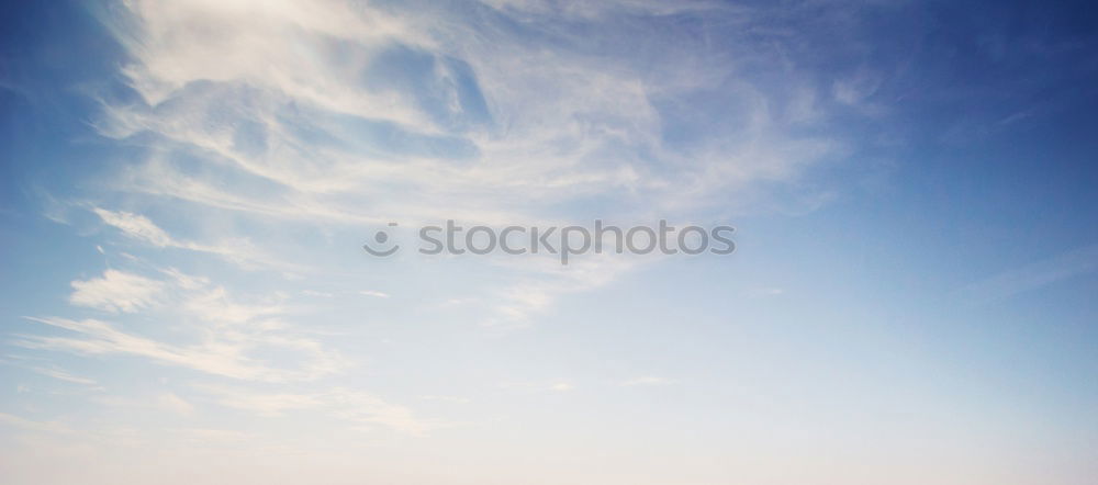 Similar – Image, Stock Photo Famous colonnade of St. Peter’s Basilica in Vatican, Rome, Italy