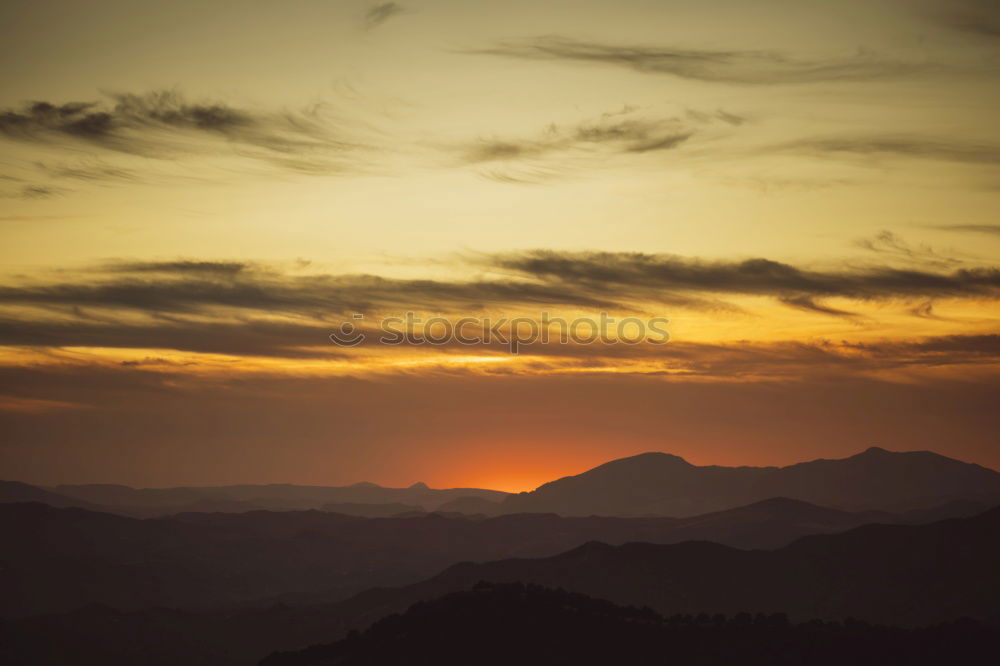 Similar – Image, Stock Photo Morning greetings in late summer