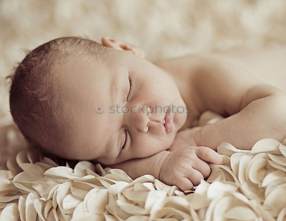 Similar – Portrait of a newborn baby sleeping