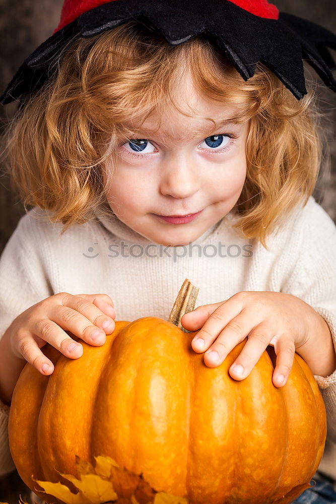 Image, Stock Photo Adorable girl todler embracing pumpkins on an autumn field