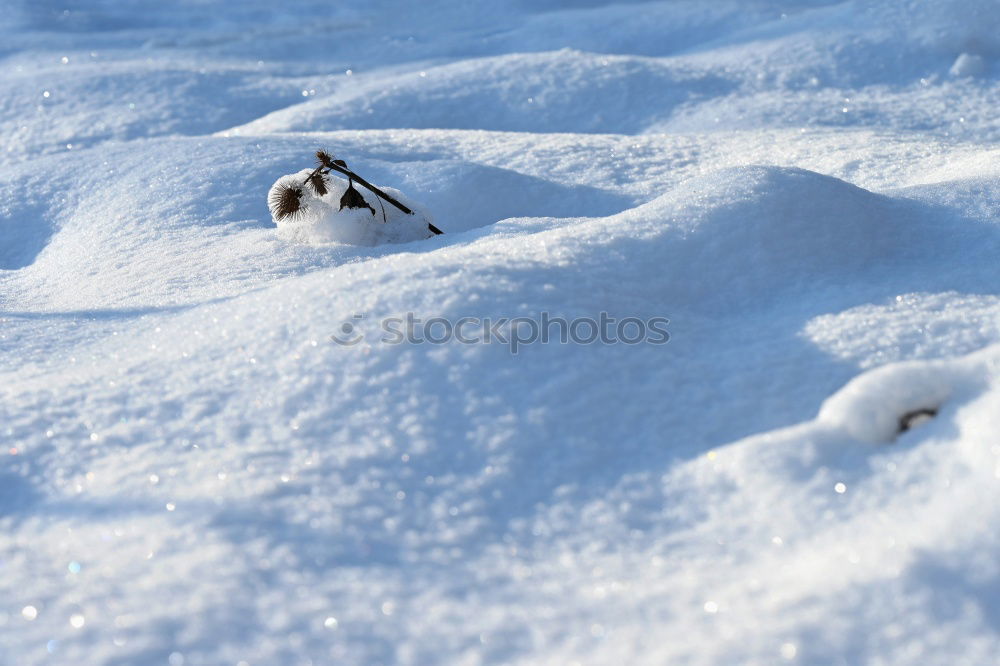 Similar – Hüttenzauber Holz Winter