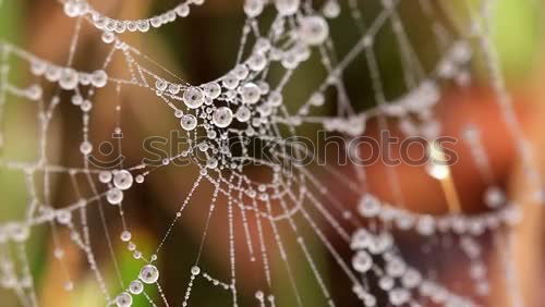 Similar – Image, Stock Photo winter lights Environment