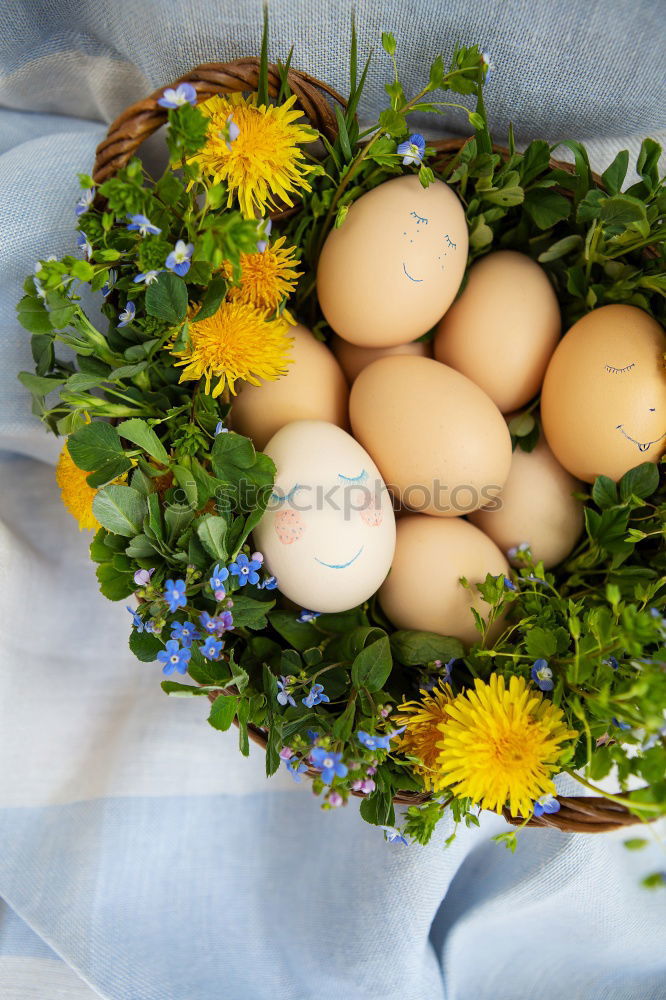 Similar – Image, Stock Photo fresh herbs and flowers in a metal bowl on a wooden table