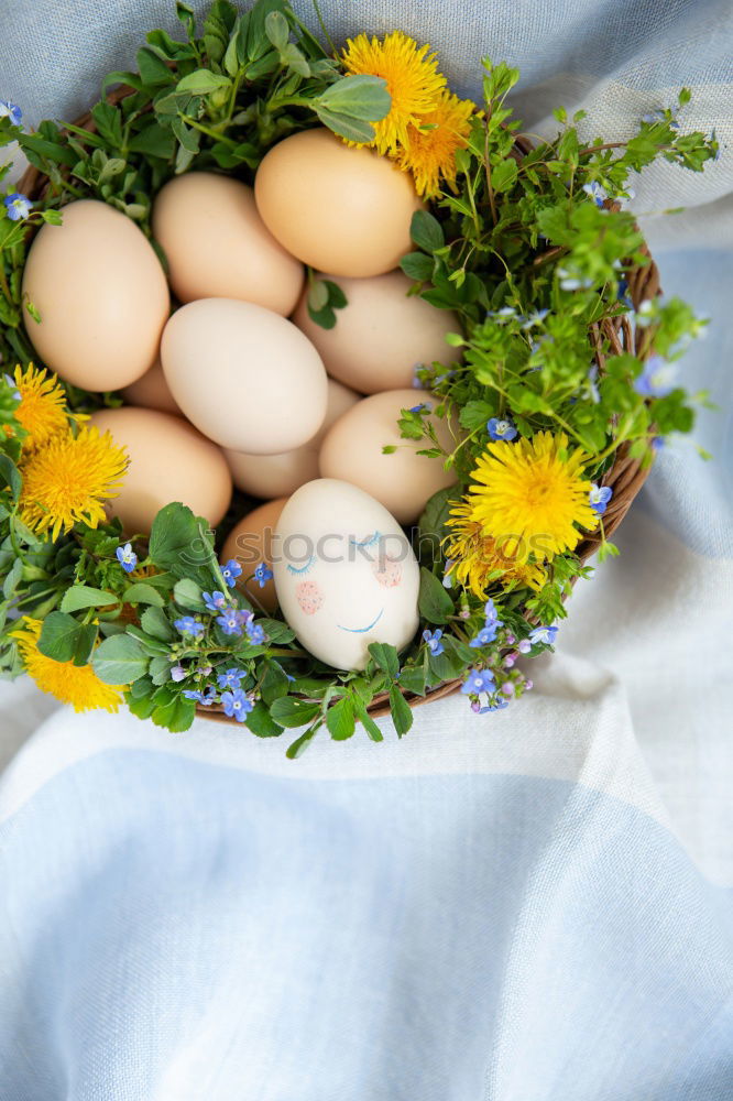 Similar – Spring flowers in white basket