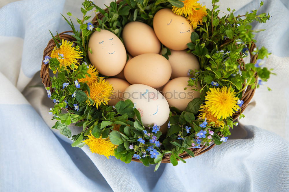 Similar – Spring flowers in white basket