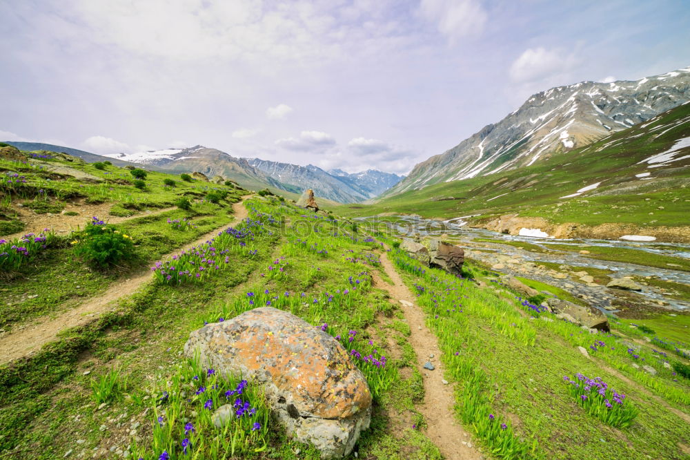 Similar – Image, Stock Photo Women walking on mountain road