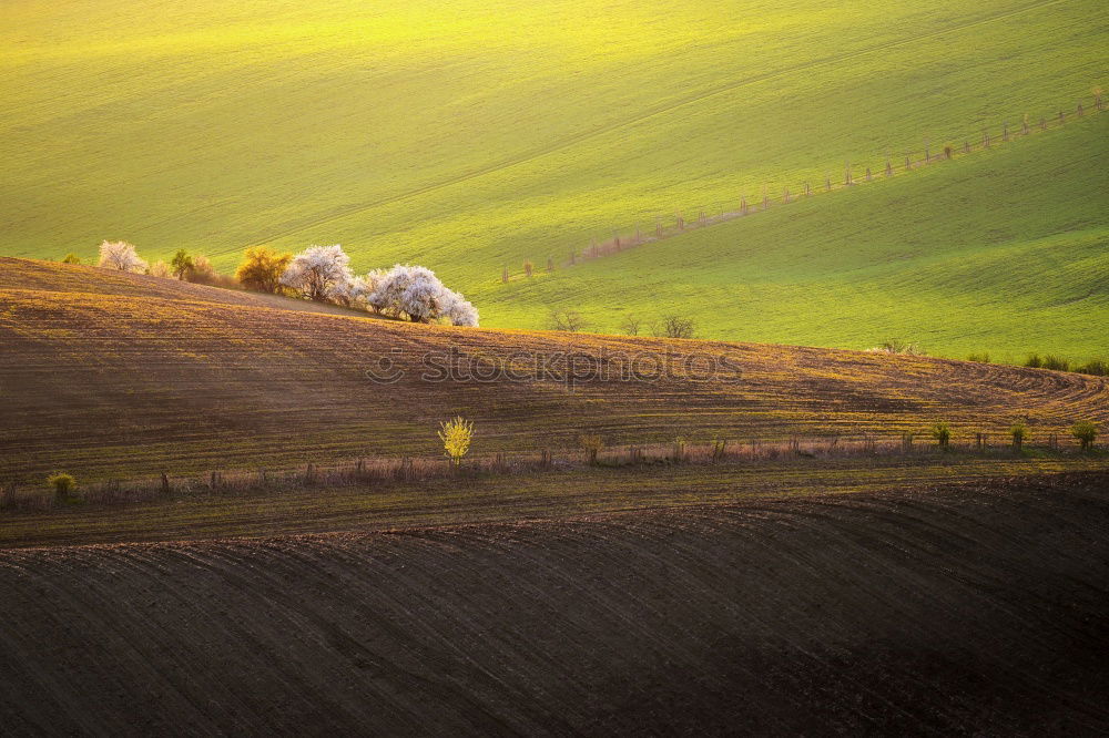 Similar – Nice View Far-off places