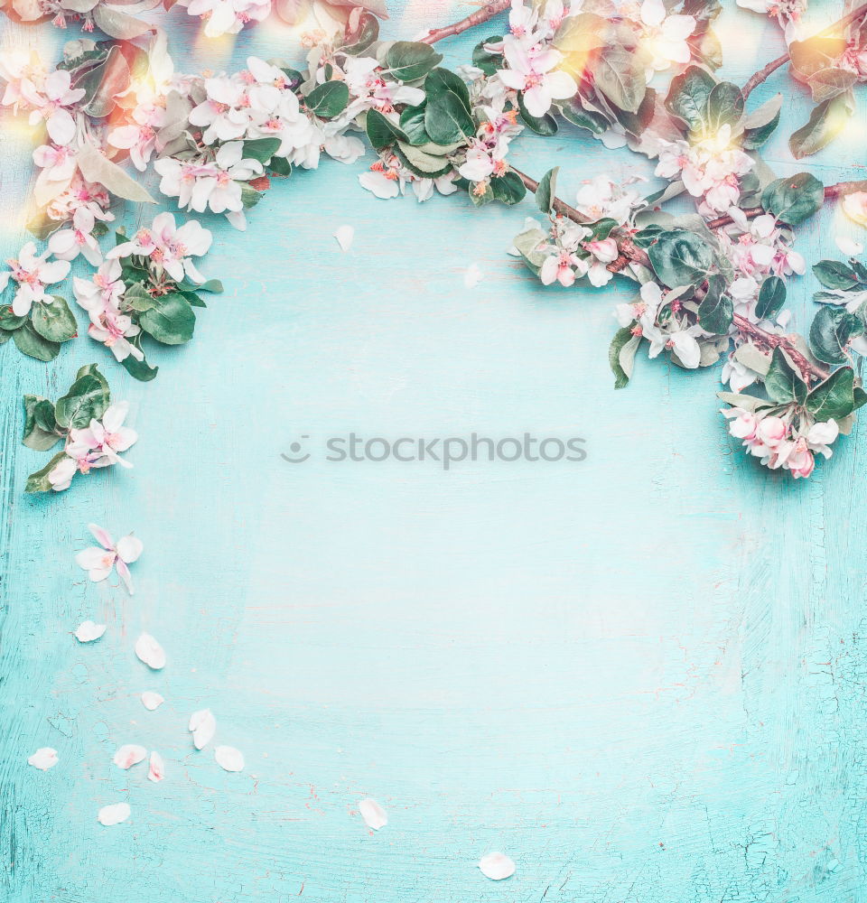 Similar – Image, Stock Photo Small white veil herb flowers on light blue