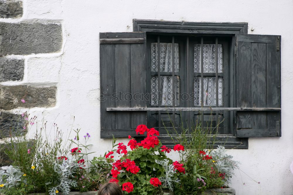 Similar – Foto Bild Platz des Friedens alt