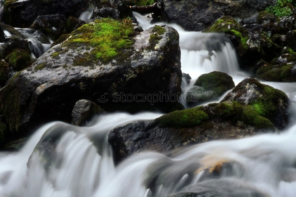 Similar – Image, Stock Photo Small cascade flowing in the forest