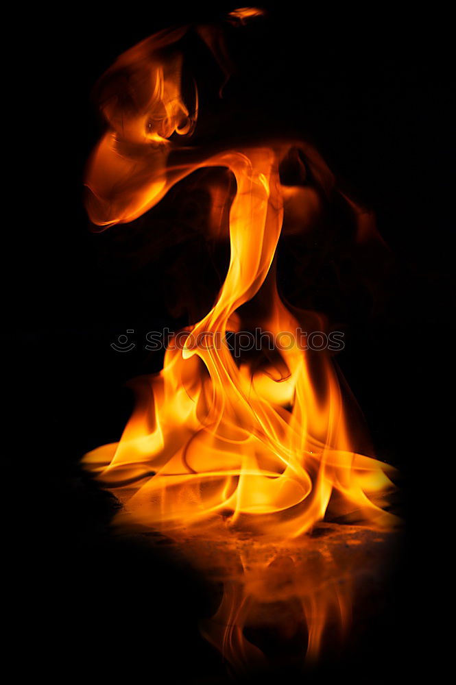 Image, Stock Photo The witch Feminine Woman