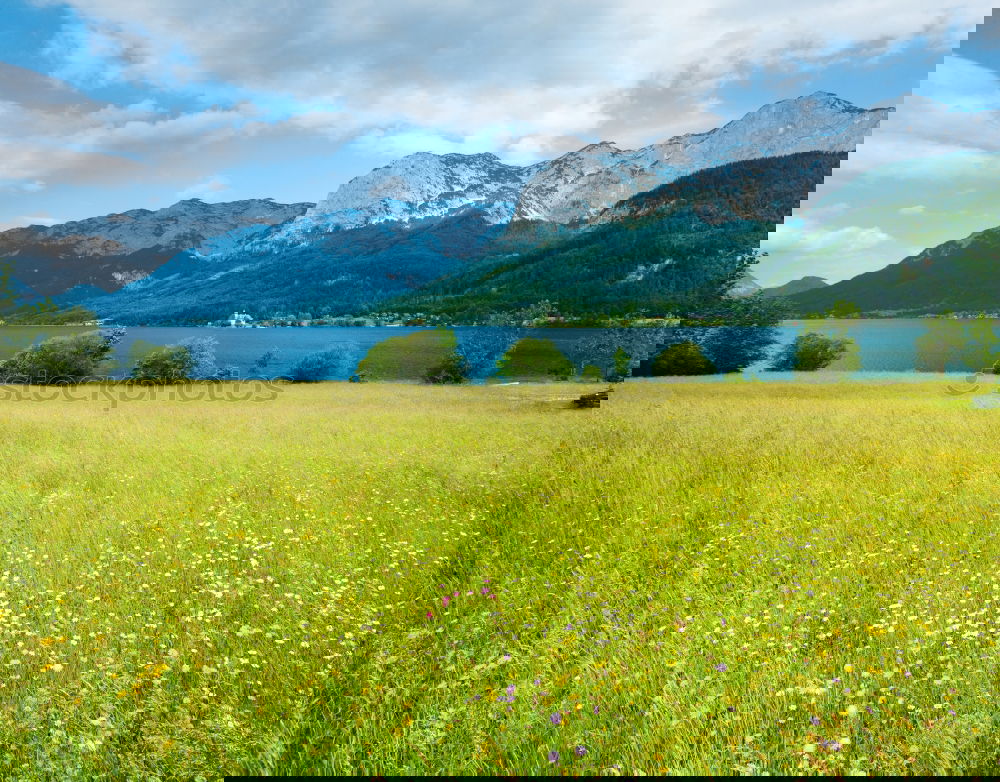 Similar – Image, Stock Photo happy lovers on Holiday in the alps mountains