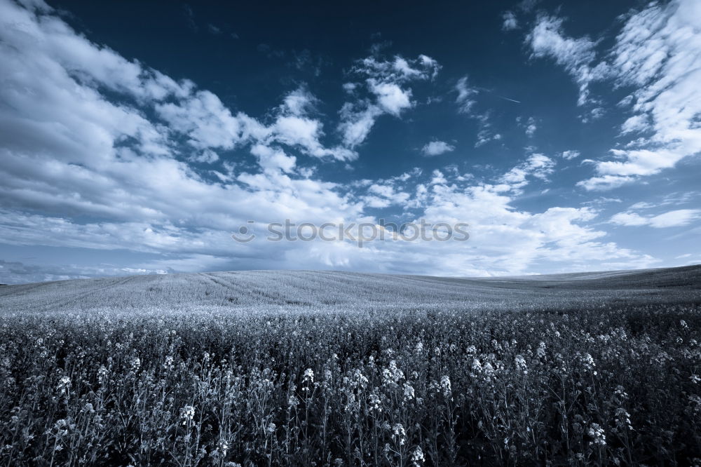 Similar – Image, Stock Photo Loneliness by the sea