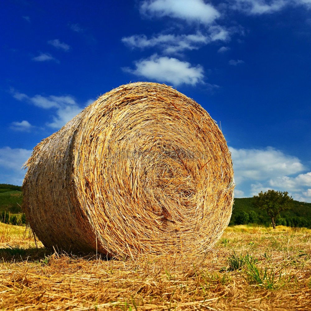 Similar – hay bales Straw Field