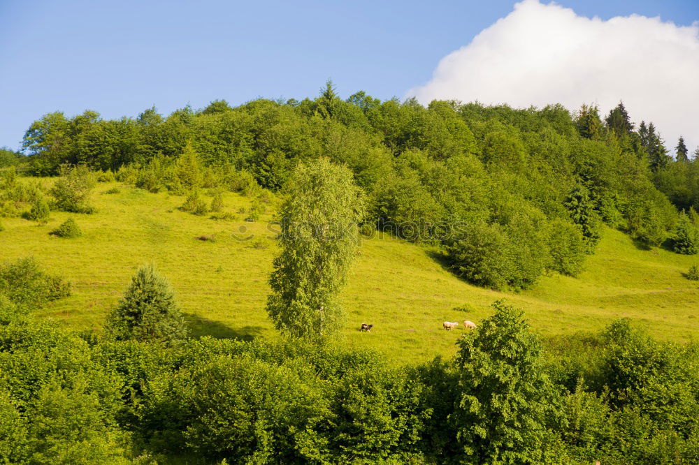 Similar – Image, Stock Photo Between mountain and valley