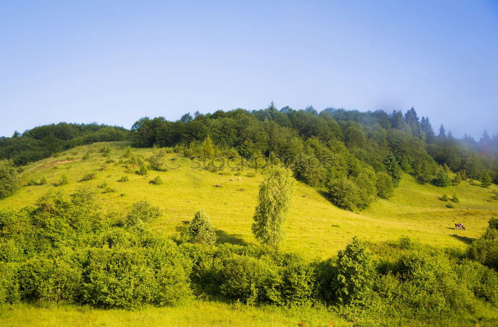 Similar – Image, Stock Photo Between mountain and valley