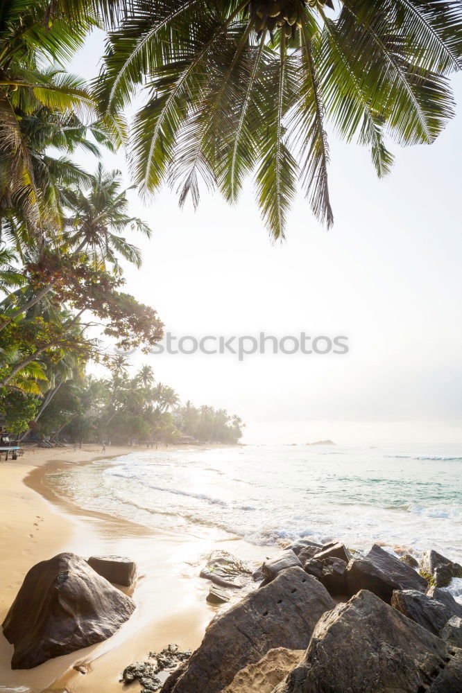 Similar – Image, Stock Photo Sri Lanka, Rathgama