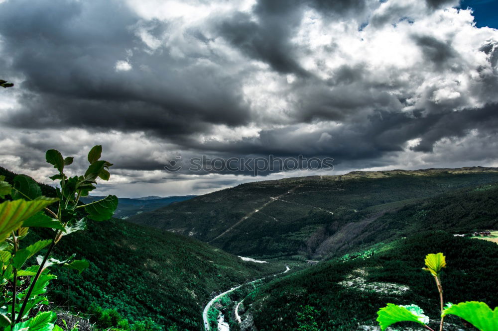 Similar – Image, Stock Photo Mori Nature Landscape