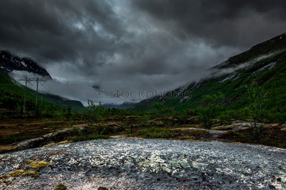 Similar – Image, Stock Photo wild river in national park, Norway, Scandinavian