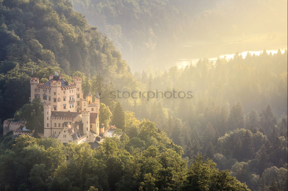 Old castle on green hill