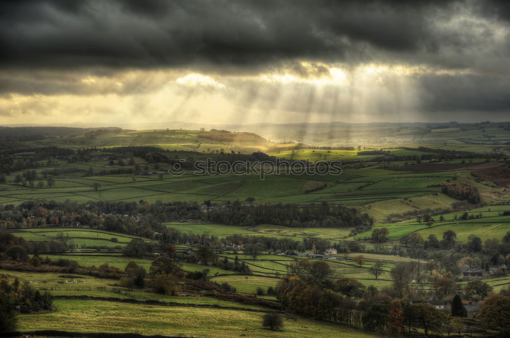 Similar – Image, Stock Photo Hills, sheep and a dream road