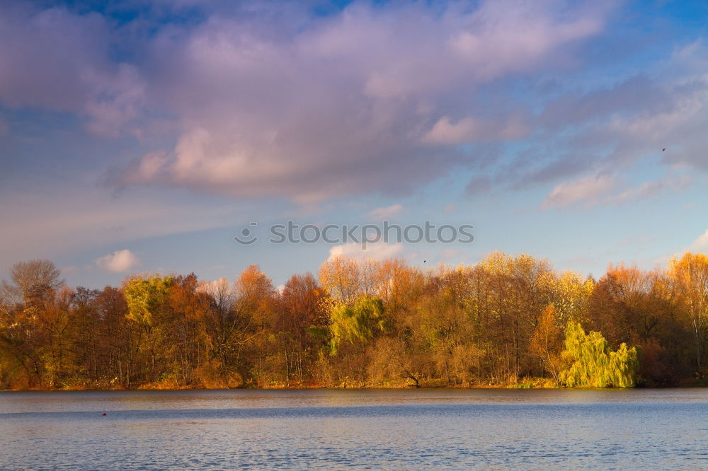 Similar – treeberrys Colour photo