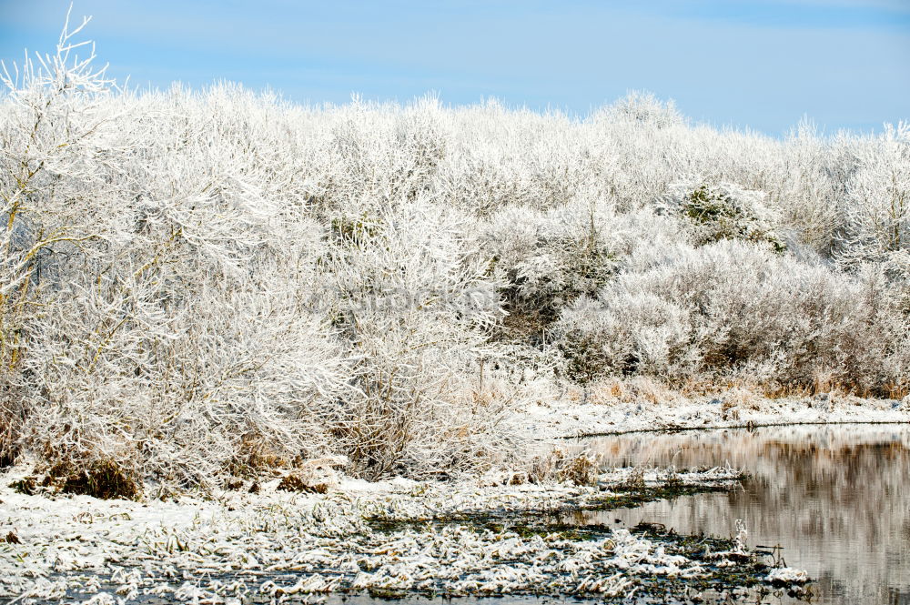 Similar – Foto Bild Frostschatten Leipzig