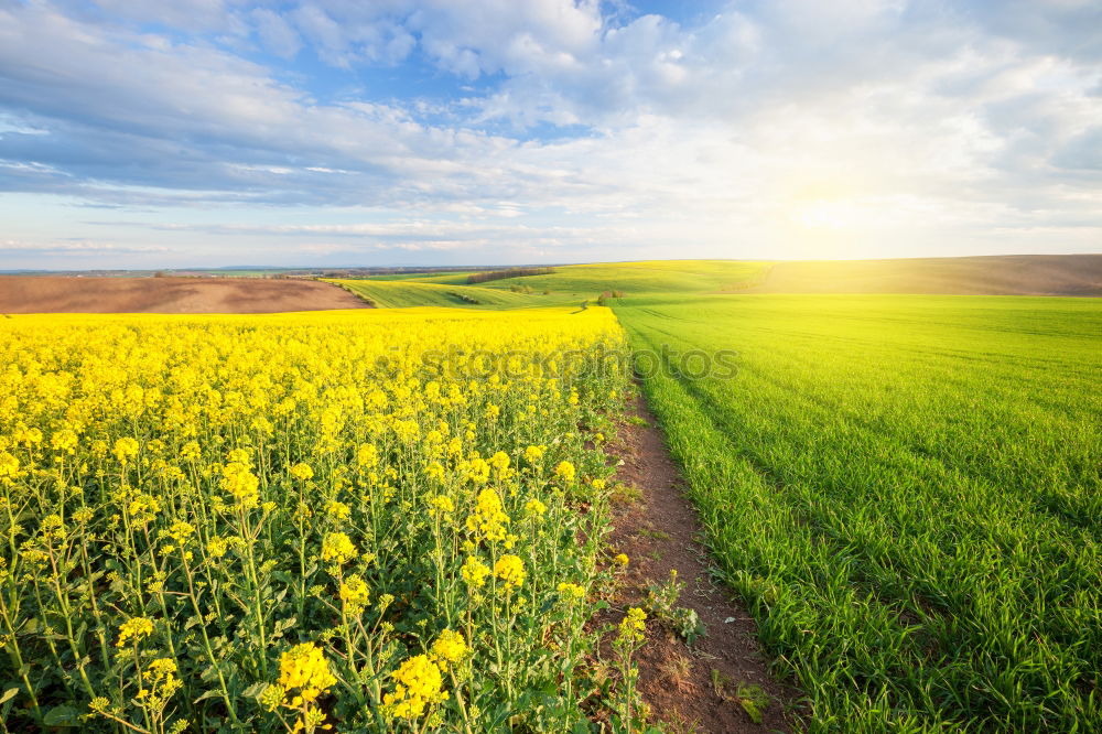 Similar – Image, Stock Photo Cross ground and field day