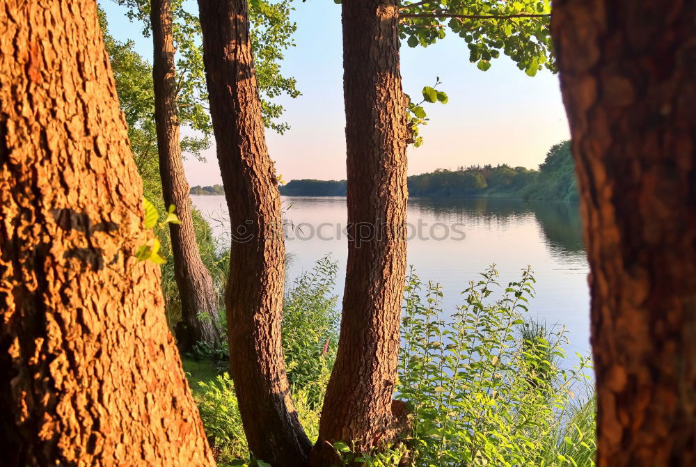 Similar – Swimming lake in Sweden