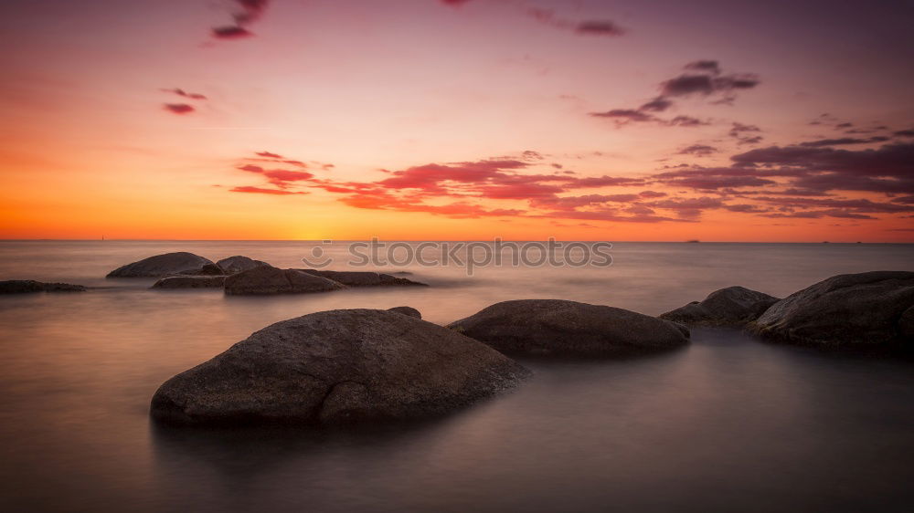 Image, Stock Photo Sunrise in Sydney