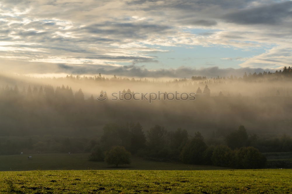 Similar – Himmel, Nebel, Gras & Bäume