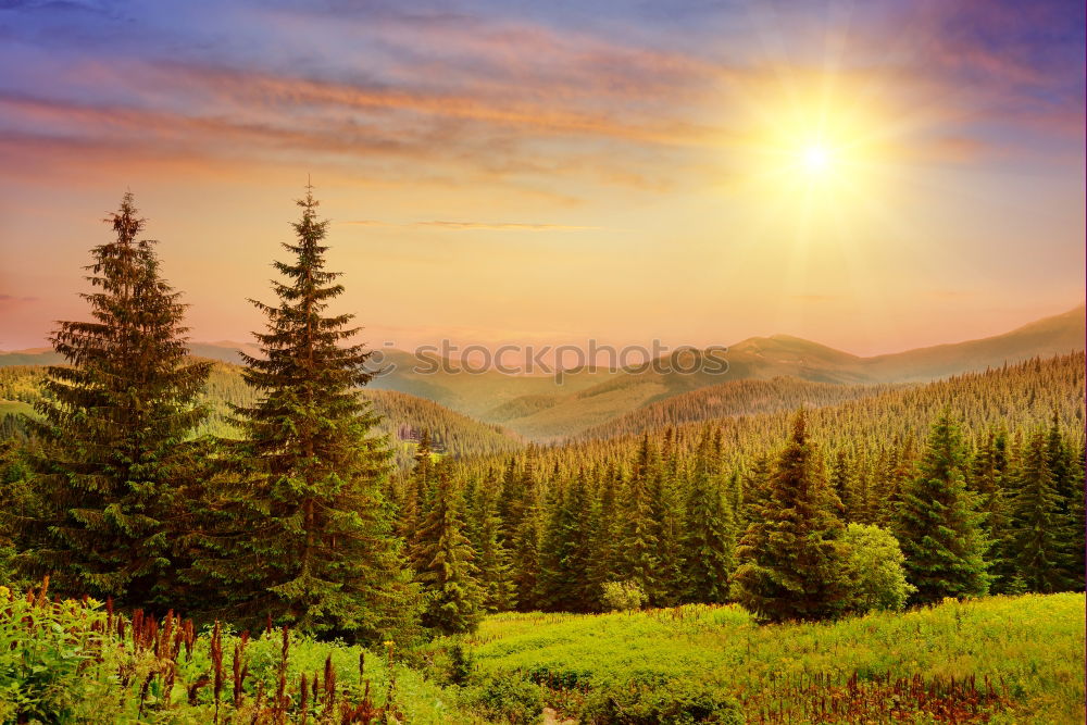 Similar – Panorama of sunset in the mountains