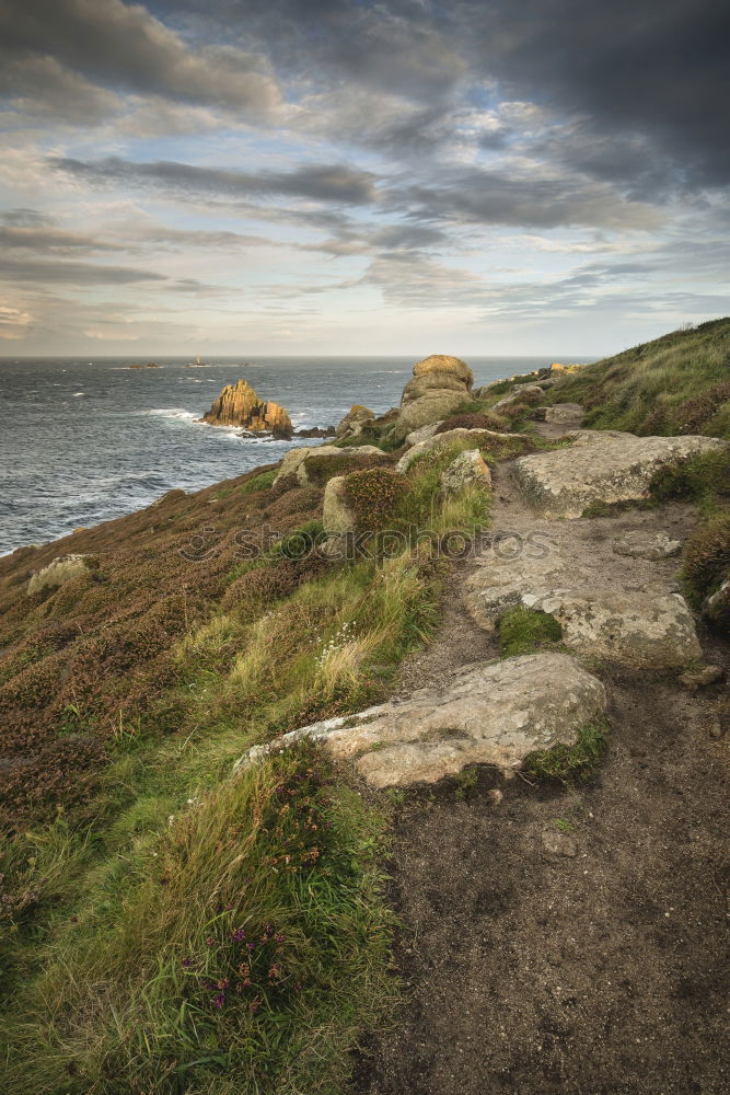 Similar – Image, Stock Photo Walk in hilly meadows and coastal landscape