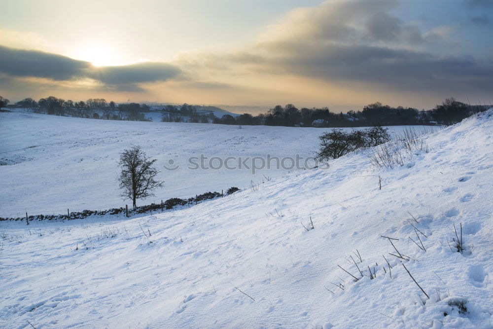 Similar – Winterdorf Umwelt Natur