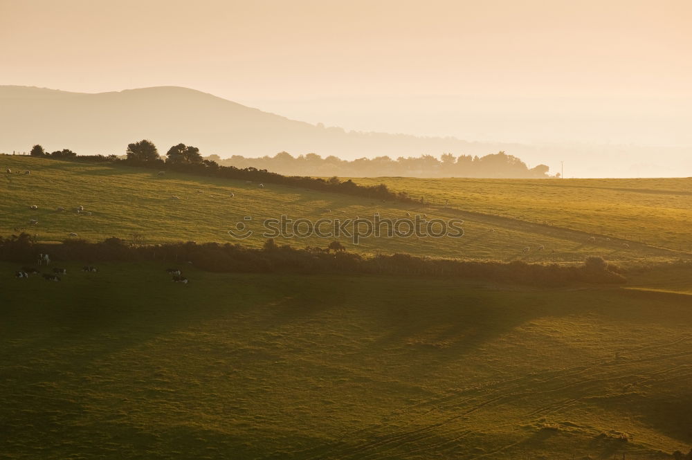 Similar – Sheep World Far-off places