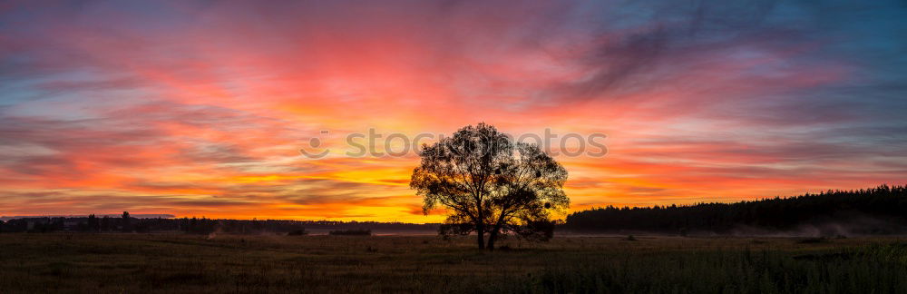 Similar – Image, Stock Photo cross Tree Night Dark