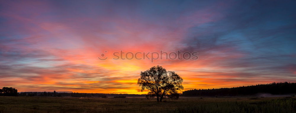 Similar – Image, Stock Photo Sunset by Snow Sky Clouds